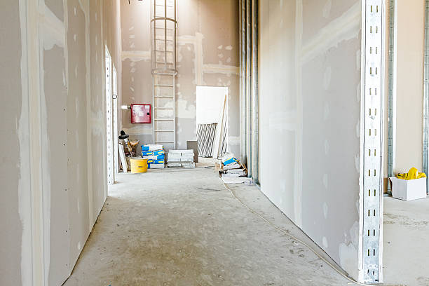 Best Residential Mold Inspection & Testing  in Federal Y, WA